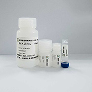 BCA蛋白浓度测定