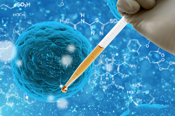 凋亡检测试剂盒